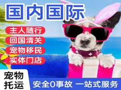 岳阳三荷机场空运国际宠物托运 【国